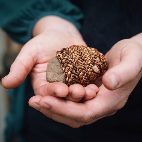 Alice Fox - Alice Fox