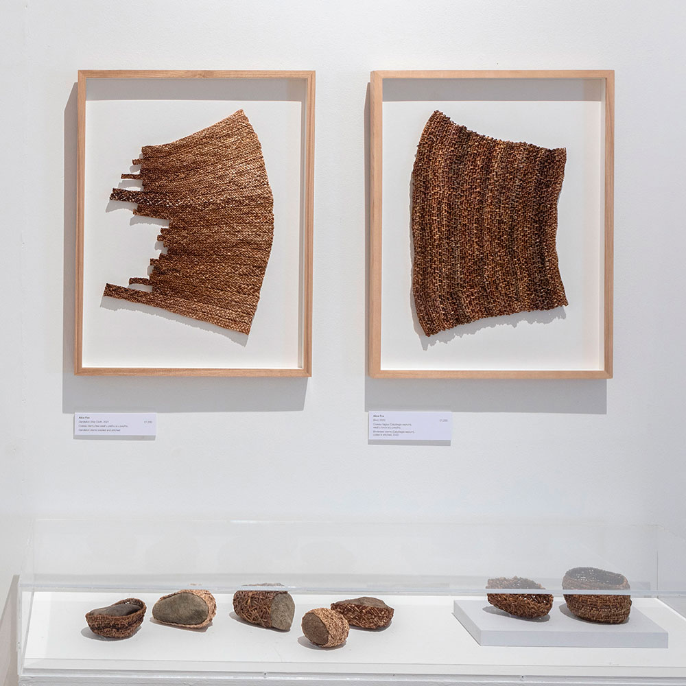 Alice Fox, Natural (Re)Sources, Ruthin 2023