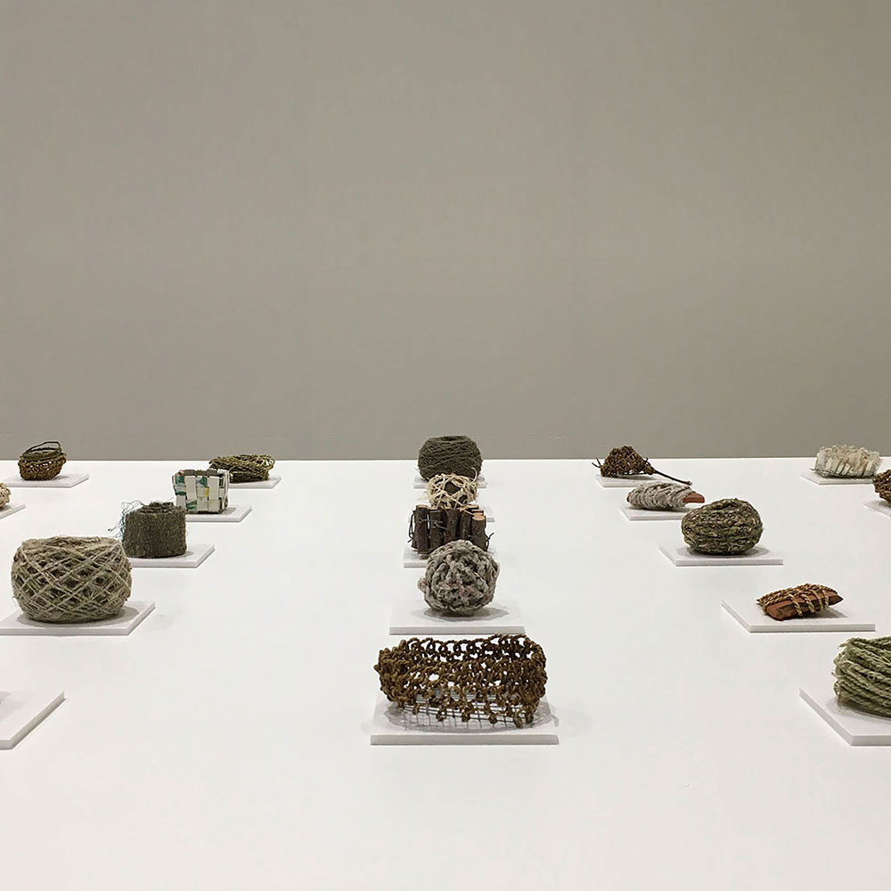 Alice Fox, Plot 105 objects