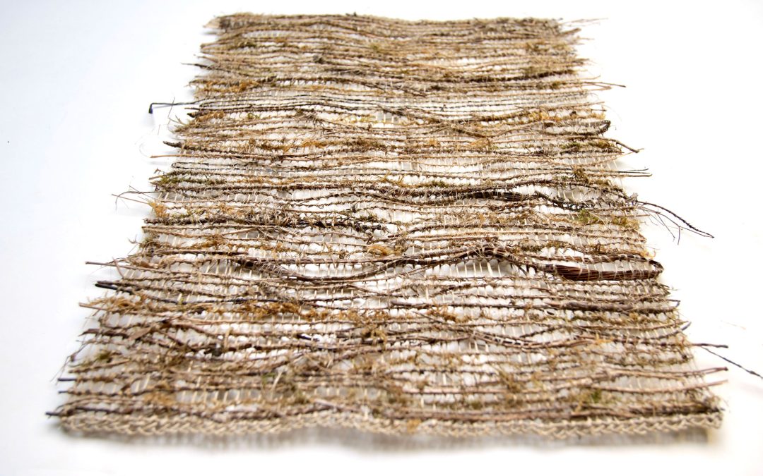Nest