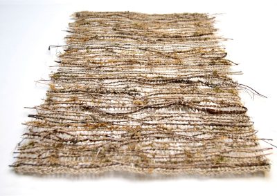 Nest